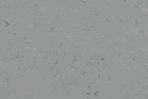 Кварцвиниловые полы Forbo Allura Colour/Colour Plus C68038-651038 neutral grey фото  | FLOORDEALER